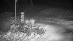 Běžecký lyžařský areál Nová Ves - horní část