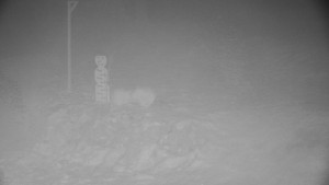 Chata Myslivna SKP Olomouc - Běžecký lyžařský areál Nová Ves - horní část - 29.1.2026 v 02:00 Chata Myslivna SKP Olomouc - Běžecký lyžařský areál Nová Ves - horní část - 29.1.2026 v 02:00