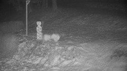 Běžecký lyžařský areál Nová Ves - horní část