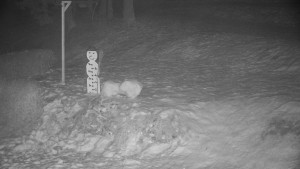 Chata Myslivna SKP Olomouc - Běžecký lyžařský areál Nová Ves - horní část - 29.1.2026 v 04:00 Chata Myslivna SKP Olomouc - Běžecký lyžařský areál Nová Ves - horní část - 29.1.2026 v 04:00