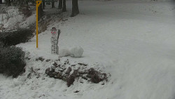 Běžecký lyžařský areál Nová Ves - horní část