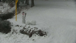 Běžecký lyžařský areál Nová Ves - horní část