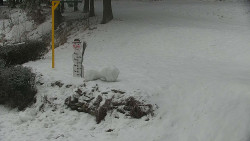 Běžecký lyžařský areál Nová Ves - horní část