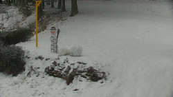 Běžecký lyžařský areál Nová Ves - horní část