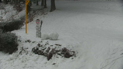 Běžecký lyžařský areál Nová Ves - horní část