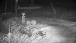 Běžecký lyžařský areál Nová Ves - horní část