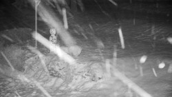 Běžecký lyžařský areál Nová Ves - horní část