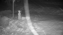 Běžecký lyžařský areál Nová Ves - horní část