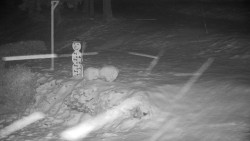 Běžecký lyžařský areál Nová Ves - horní část