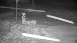 Běžecký lyžařský areál Nová Ves - horní část