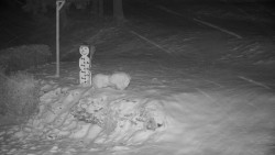 Běžecký lyžařský areál Nová Ves - horní část