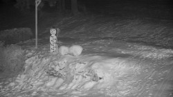 Běžecký lyžařský areál Nová Ves - horní část