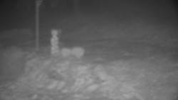 Běžecký lyžařský areál Nová Ves - horní část