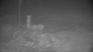 Chata Myslivna SKP Olomouc - Běžecký lyžařský areál Nová Ves - horní část - 31.1.2026 v 00:00 Chata Myslivna SKP Olomouc - Běžecký lyžařský areál Nová Ves - horní část - 31.1.2026 v 00:00