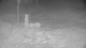 Chata Myslivna SKP Olomouc - Běžecký lyžařský areál Nová Ves - horní část - 31.1.2026 v 02:00 Chata Myslivna SKP Olomouc - Běžecký lyžařský areál Nová Ves - horní část - 31.1.2026 v 02:00