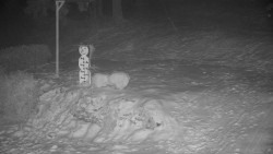 Běžecký lyžařský areál Nová Ves - horní část