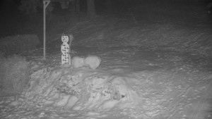 Chata Myslivna SKP Olomouc - Běžecký lyžařský areál Nová Ves - horní část - 31.1.2026 v 03:00 Chata Myslivna SKP Olomouc - Běžecký lyžařský areál Nová Ves - horní část - 31.1.2026 v 03:00