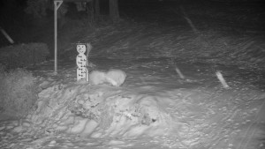 Chata Myslivna SKP Olomouc - Běžecký lyžařský areál Nová Ves - horní část - 31.1.2026 v 04:00 Chata Myslivna SKP Olomouc - Běžecký lyžařský areál Nová Ves - horní část - 31.1.2026 v 04:00