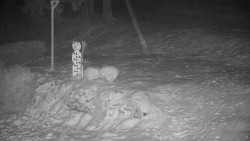 Běžecký lyžařský areál Nová Ves - horní část