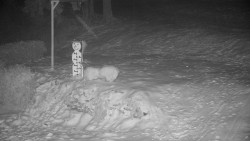 Běžecký lyžařský areál Nová Ves - horní část