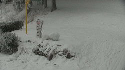 Běžecký lyžařský areál Nová Ves - horní část