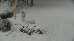 Běžecký lyžařský areál Nová Ves - horní část