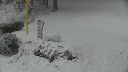 Běžecký lyžařský areál Nová Ves - horní část