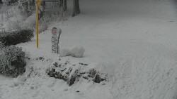 Běžecký lyžařský areál Nová Ves - horní část