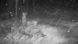 Běžecký lyžařský areál Nová Ves - horní část