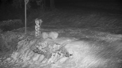 Běžecký lyžařský areál Nová Ves - horní část