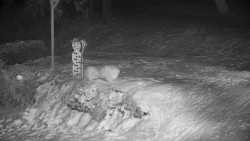 Běžecký lyžařský areál Nová Ves - horní část