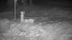 Běžecký lyžařský areál Nová Ves - horní část