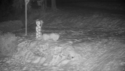 Běžecký lyžařský areál Nová Ves - horní část