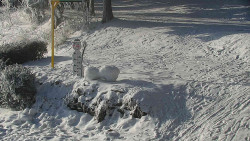 Běžecký lyžařský areál Nová Ves - horní část