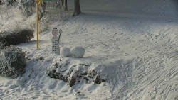 Běžecký lyžařský areál Nová Ves - horní část