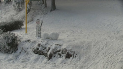 Běžecký lyžařský areál Nová Ves - horní část