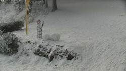 Běžecký lyžařský areál Nová Ves - horní část