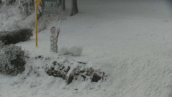 Běžecký lyžařský areál Nová Ves - horní část