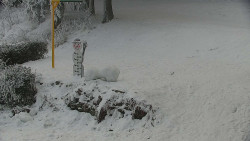 Běžecký lyžařský areál Nová Ves - horní část