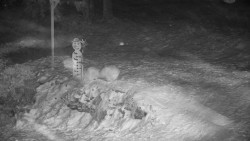 Běžecký lyžařský areál Nová Ves - horní část