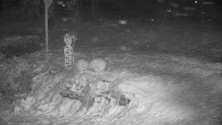 Běžecký lyžařský areál Nová Ves - horní část