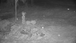 Běžecký lyžařský areál Nová Ves - horní část