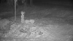 Běžecký lyžařský areál Nová Ves - horní část