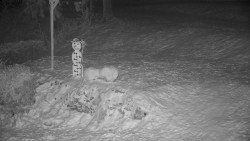 Běžecký lyžařský areál Nová Ves - horní část