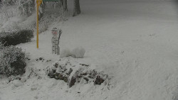 Běžecký lyžařský areál Nová Ves - horní část