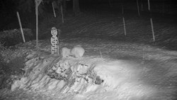 Běžecký lyžařský areál Nová Ves - horní část