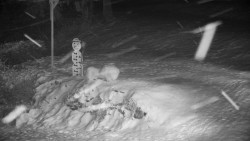 Běžecký lyžařský areál Nová Ves - horní část