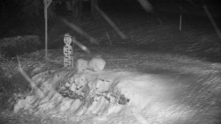 Běžecký lyžařský areál Nová Ves - horní část