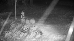 Běžecký lyžařský areál Nová Ves - horní část