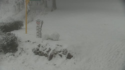 Běžecký lyžařský areál Nová Ves - horní část